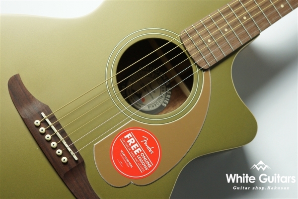 Newporter Player - Olive